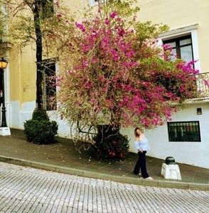 Meet your Posher, Ivonne